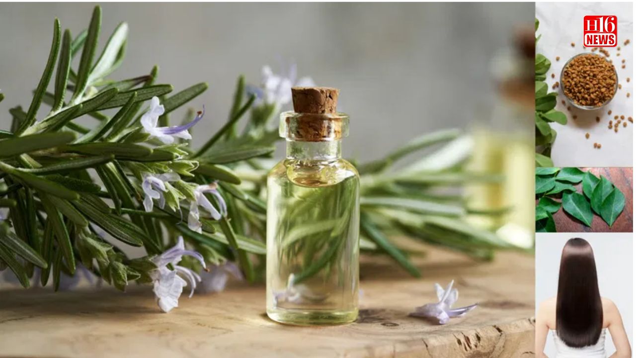 Rosemary, fenugreek seeds and curry leaves hair growth spray